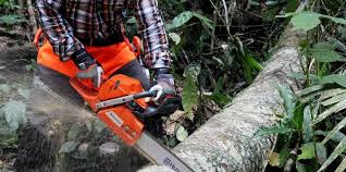 Top 10 Best Gas Chain Saw 2020 - Expert Review & Guide