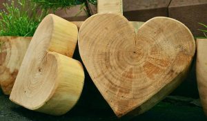 Heart wood carving for beginners