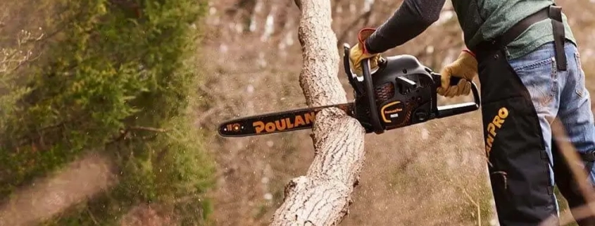 Poulan Pro Chainsaw Front view 42cc Cover image